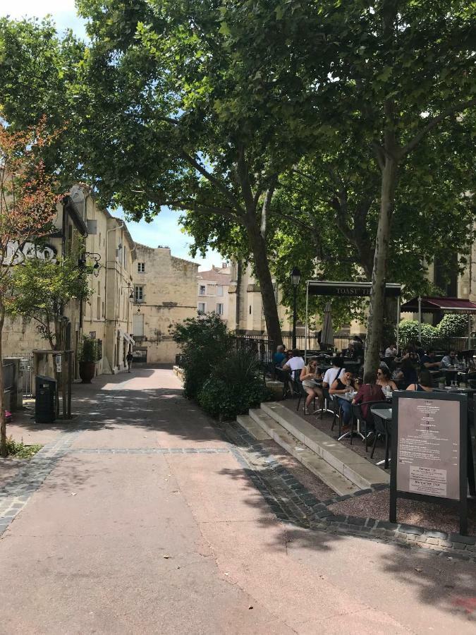 Superbe ! Appart T2 - Centre Historique & Tram - Situation Ideale Apartment Montpellier Exterior foto