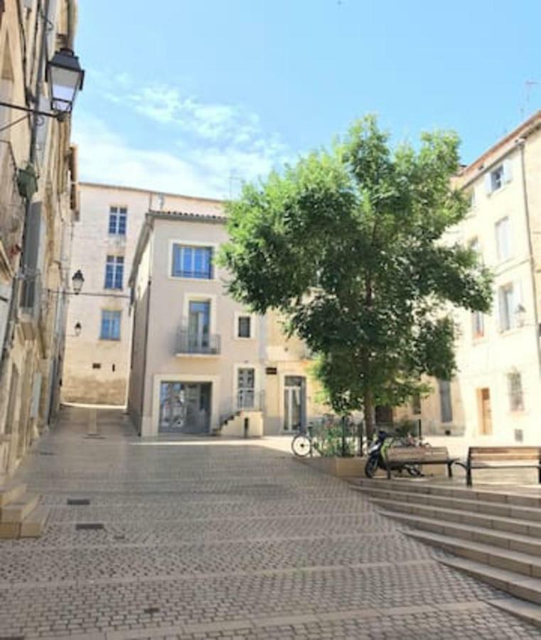 Superbe ! Appart T2 - Centre Historique & Tram - Situation Ideale Apartment Montpellier Exterior foto
